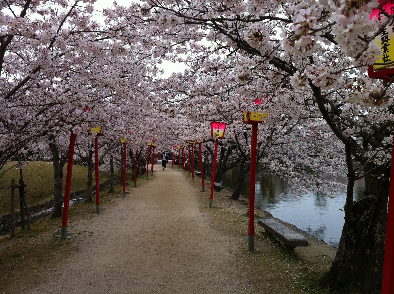 🌸 오기 공원(오기코엔) 이미지 5